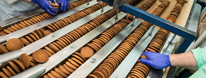 Workers prepare organic cookies for packaging.