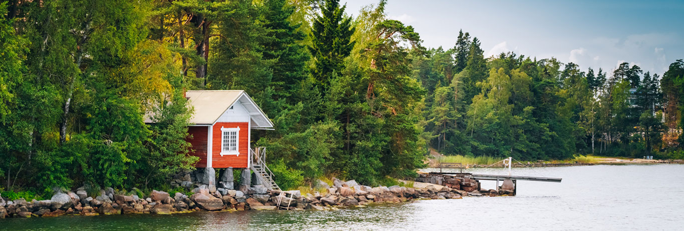 A cabin on a lake, at the edge of the woods.