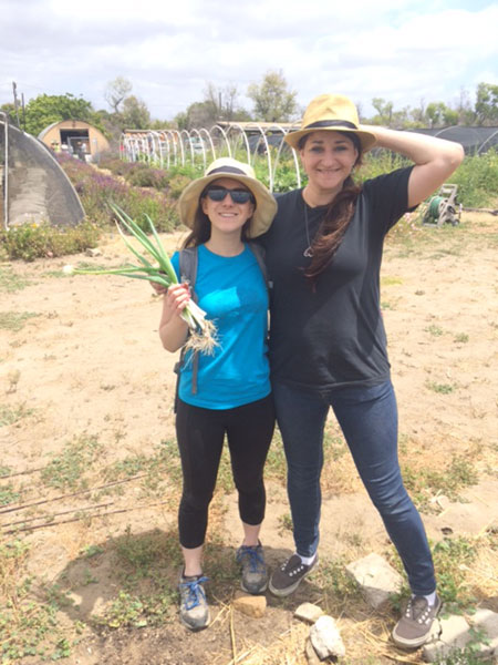 QAI organic certification team members having fun volunteering at an organic farm.