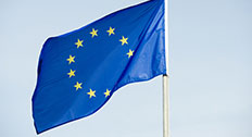 European union flag