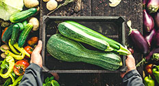 Farmers hands with harvested vegetables